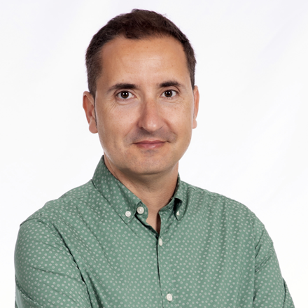 Sr. D. Sergi Castillo Prats