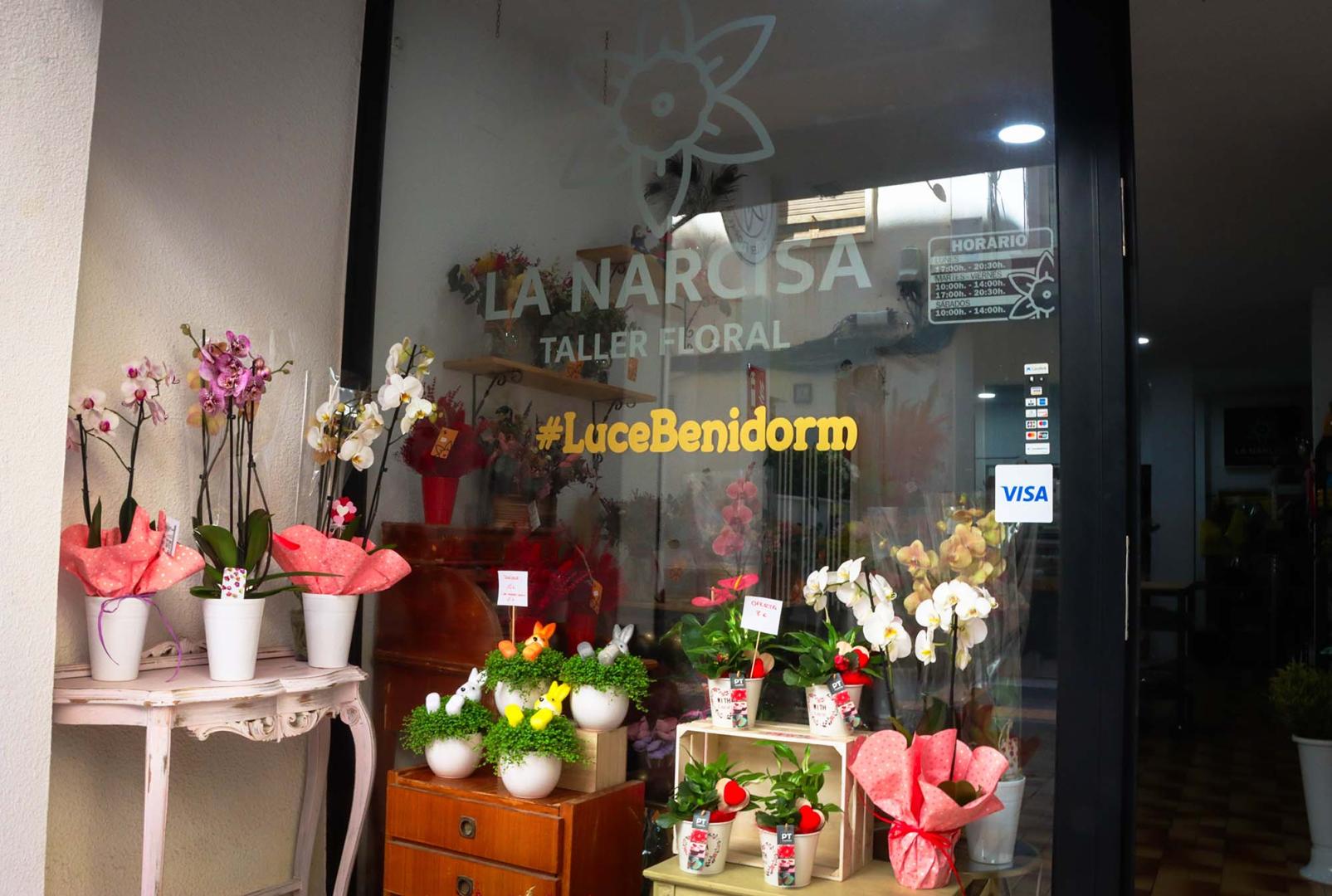 La Narcisa