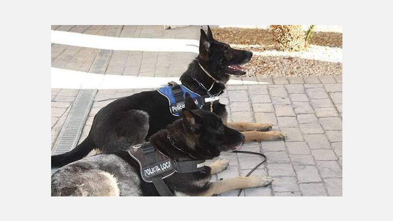 La unidad canina de la Policía Local colabora con la comunidad educativa en la prevención del consumo de drogas