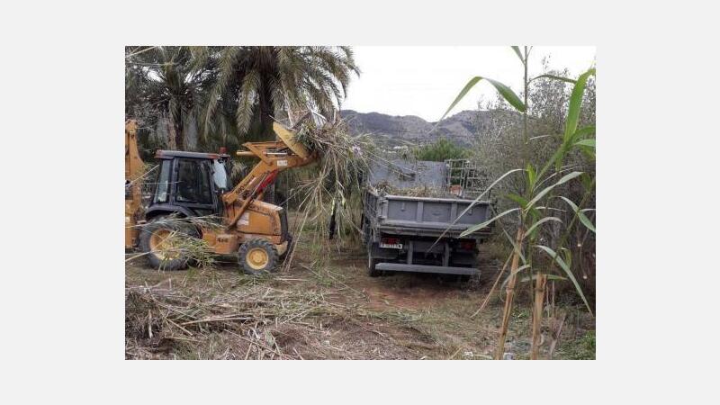 Escena Urbana adecúa el entorno del cruce de ‘l’Estanquet’ y estudia plantar más palmeras en la Comunidad Valenciana