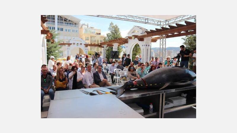 Benidorm abre boca para sus primeras ‘Jornadas del Atún’ con el ronqueo de una pieza de más de 200 kilos