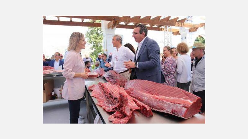 Benidorm abre boca para sus primeras ‘Jornadas del Atún’ con el ronqueo de una pieza de más de 200 kilos