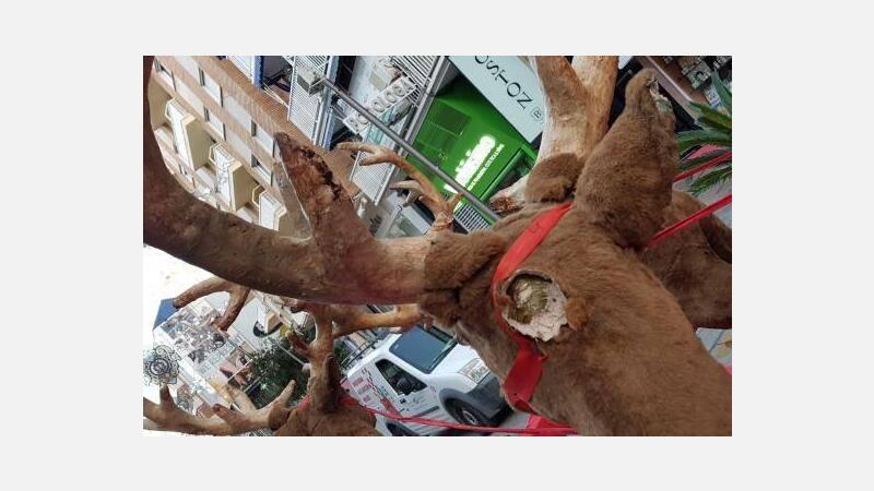 Actos vandálicos obligan a retirar elementos navideños de la calle Gambo