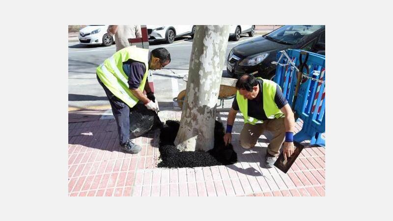El Ayuntamiento insiste a la Generalitat a edificar el nuevo Centro de Salud del Rincón de Loix