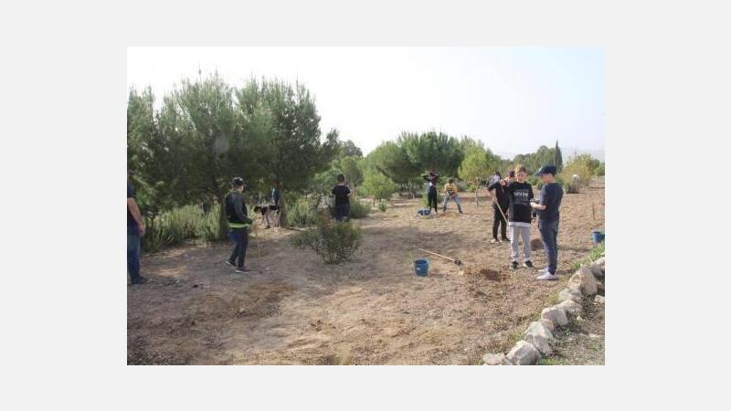 Benidorm celebra el Día del Árbol con la plantación de especies autóctonas