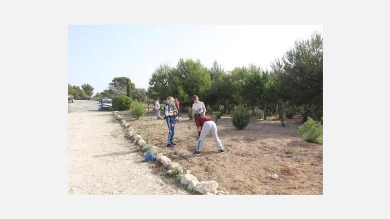 Benidorm celebra el Día del Árbol con la plantación de especies autóctonas