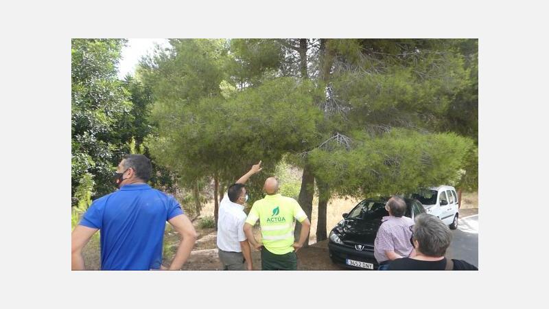 Vecinos de la Huerta y Consejo Vecinal valoran positivamente las últimas actuaciones en el barrio