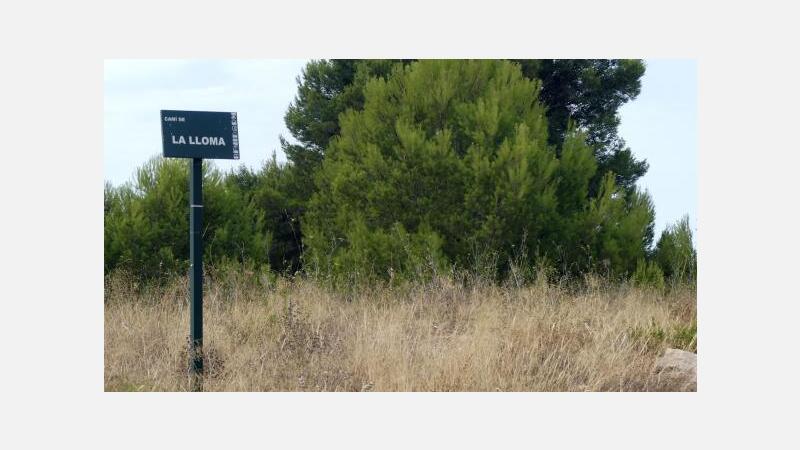 Iluminación solar y cámaras de seguridad luchan contra los vertidos ilegales de escombros en la Huerta