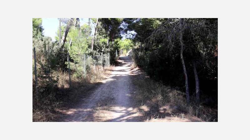 Benidorm tendrá un circuito verde que unirá La Cala con la Colonia Madrid