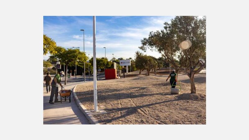 Los alumnos del Taller de Empleo Benidorm VIII intervienen en nuevas zonas verdes de la ciudad