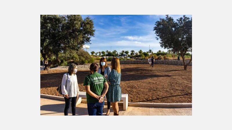 Los alumnos del Taller de Empleo Benidorm VIII intervienen en nuevas zonas verdes de la ciudad