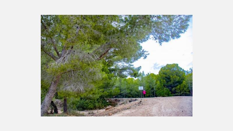 Benidorm diseña sus senderos de montaña y BTT a través de 42 caminos del Moralet