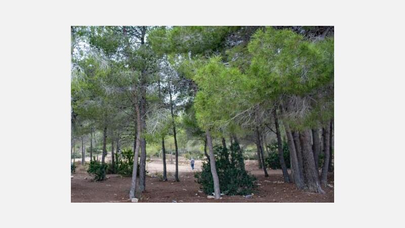 Benidorm diseña sus senderos de montaña y BTT a través de 42 caminos del Moralet