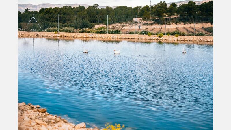 Finca Daroca