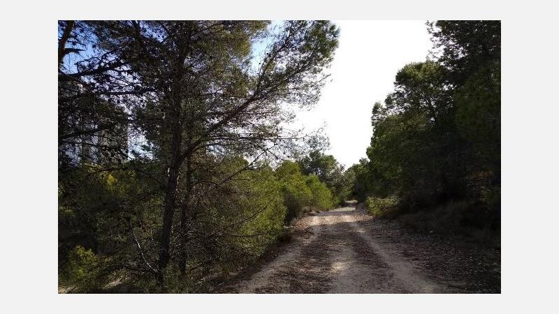 Benidorm licita otro proyecto EDUSI: la mejora ambiental del paraje El Moralet