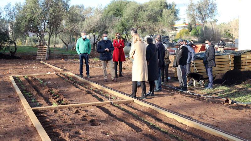 Benidorm ejecuta 56 nuevos huertos urbanos en l’Horta con l’Escola d’Ocupaciò Et Formem
