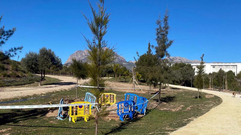 Espacio Público planta en los últimos meses 400 árboles, que podrán absorber al año más de 55 toneladas de CO2 