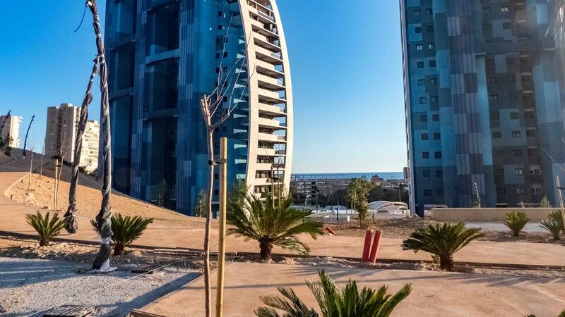 Espacio Público planta en los últimos meses 400 árboles, que podrán absorber al año más de 55 toneladas de CO2 