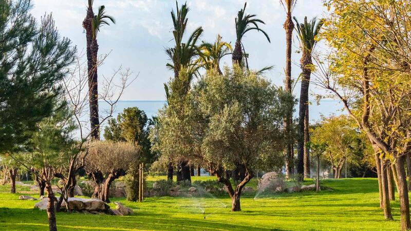 Benidorm obri un nou jardí de 4.500 metres en l