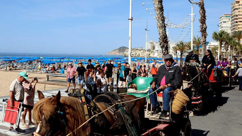 Benidorm celebrates its agricultural tradition with San Isidro