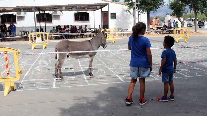 La Festa de Sant Antoni recupera hoy la tradicional ‘Cagà de la burra’ seis años después