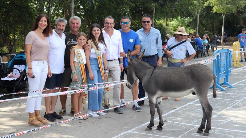 La Festa de Sant Antoni recupera hoy la tradicional ‘Cagà de la burra’ seis años después