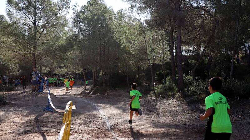 El XXVI Campionat Escolar Camp a través supera el mig miler de participants de tots els col·legis de Benidorm