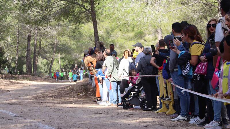 El XXVI Campionat Escolar Camp a través supera el mig miler de participants de tots els col·legis de Benidorm