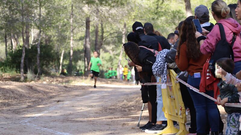 El XXVI Campionat Escolar Camp a través supera el mig miler de participants de tots els col·legis de Benidorm