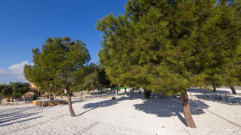 Noves lluminàries i parc públic en Finca Barrina
