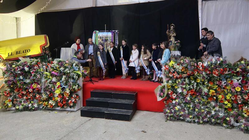 Benidorm celebra la fiesta de Sant Antoni con la romería y la ofrenda al santo en la Ermita de Sanz