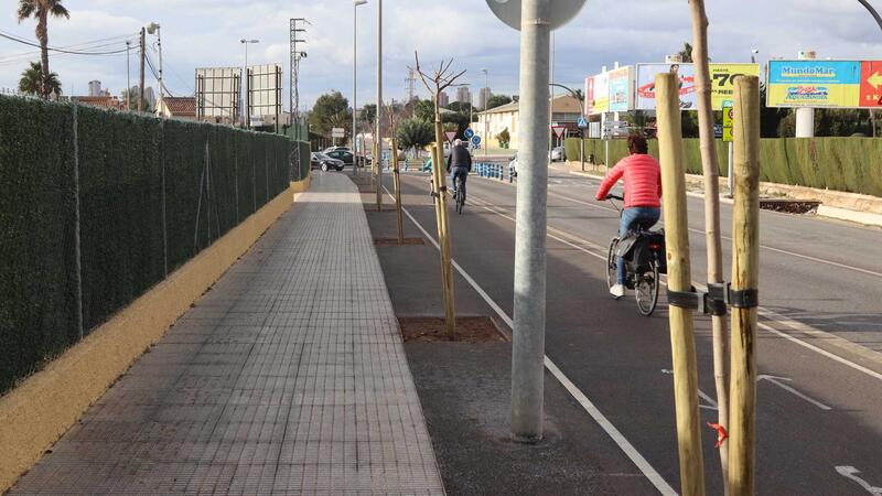 Plantación de nuevo arbolado