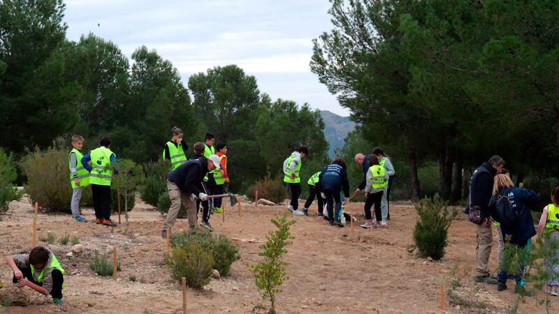 Students from the Gabriel Miró and La Cala schools plant 200 specimens in El Moralet for Arbor Day