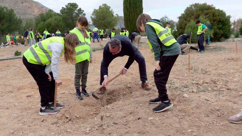 Students from the Gabriel Miró and La Cala schools plant 200 specimens in El Moralet for Arbor Day