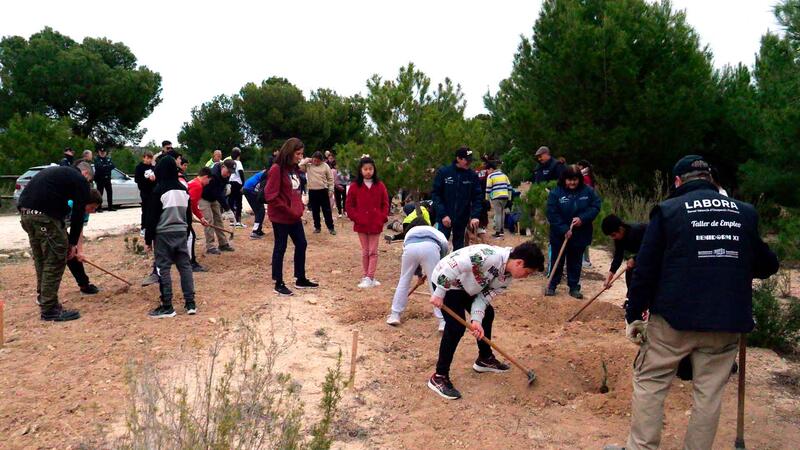 Students from the Gabriel Miró and La Cala schools plant 200 specimens in El Moralet for Arbor Day