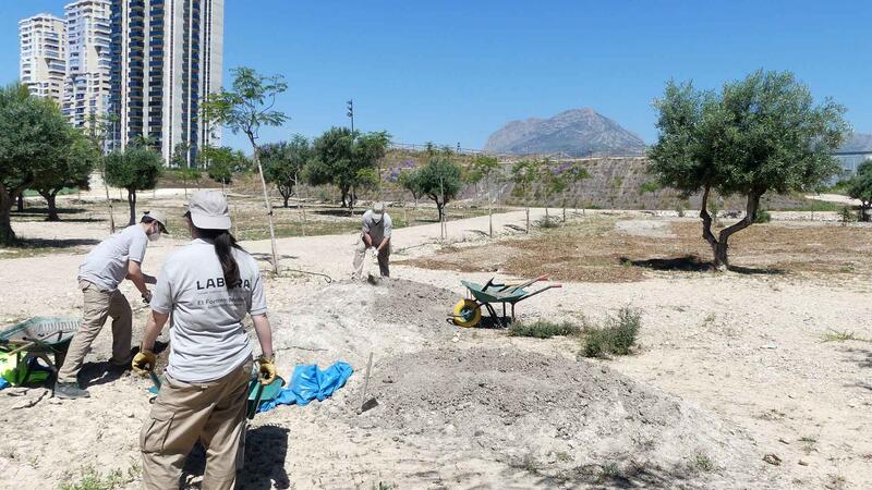 Benidorm solicita una subvención de 258.264 euros para contratar desempleados de más de 30 años durante 12 meses con el programa EXPLUS