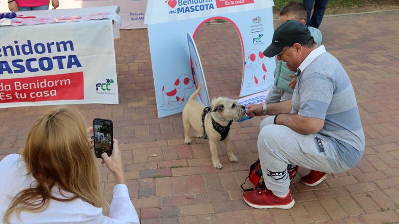 Benidorm starts an awareness campaign aimed at pet owners to keep the city clean