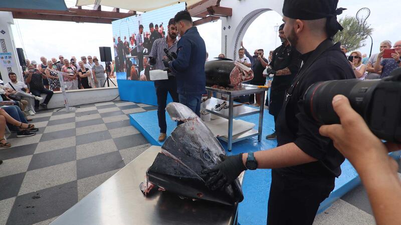 El ronqueo de un ejemplar de 170 kilos prologa las terceras Jornadas del Atún rojo de Benidorm