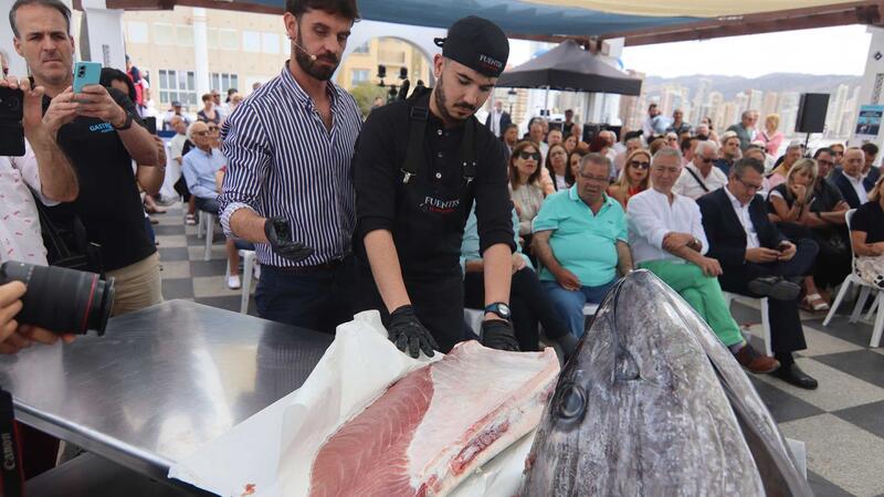 El ronqueo de un ejemplar de 170 kilos prologa las terceras Jornadas del Atún rojo de Benidorm