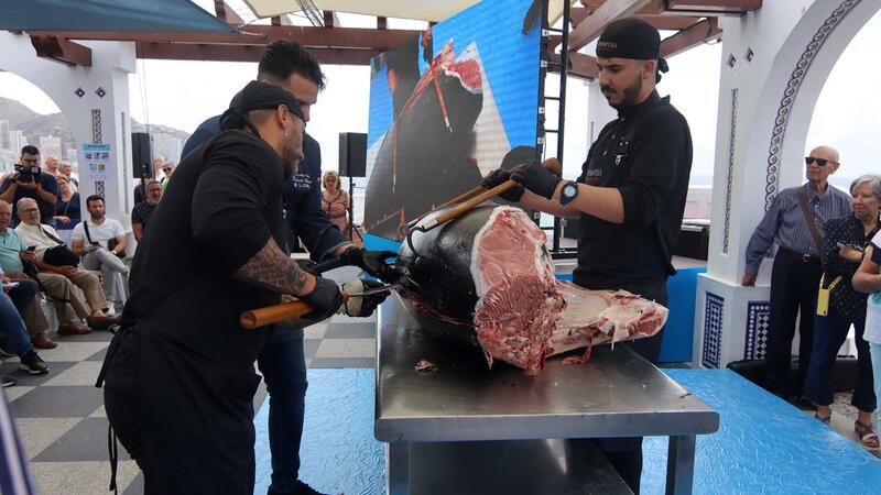 El ronqueo de un ejemplar de 170 kilos prologa las terceras Jornadas del Atún rojo de Benidorm