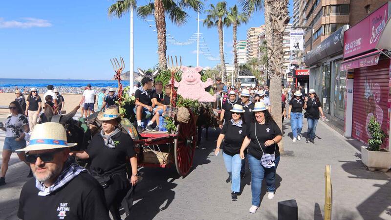 Benidorm once again celebrates its agricultural tradition with the pilgrimage of San Isidro