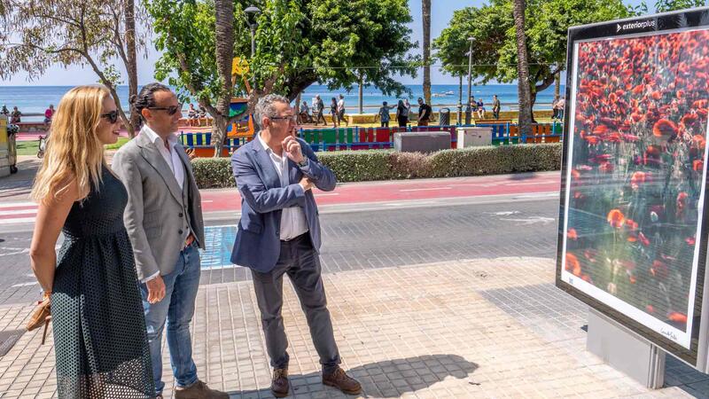 La visió fotogràfica de Cuco de Frutos arriba a Benidorm, configurat com a gran museu a l