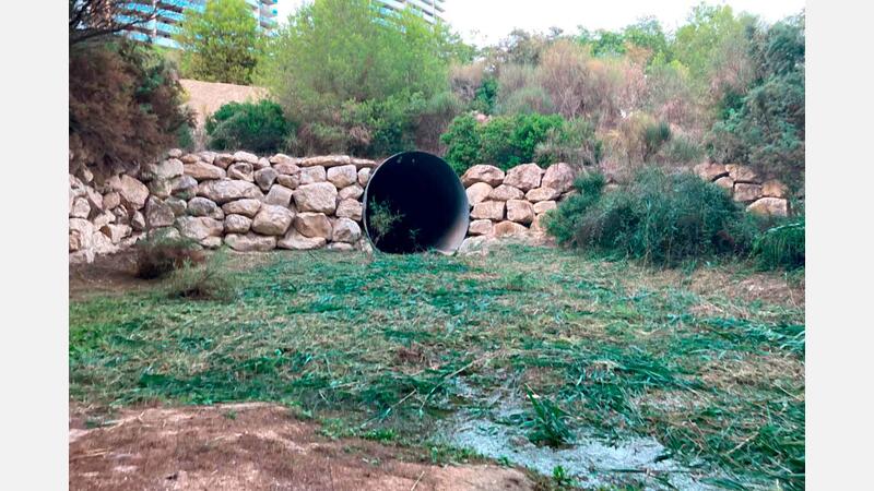 Benidorm once again cleans the urban sections of the ravines to minimize the effects of possible heavy rains
