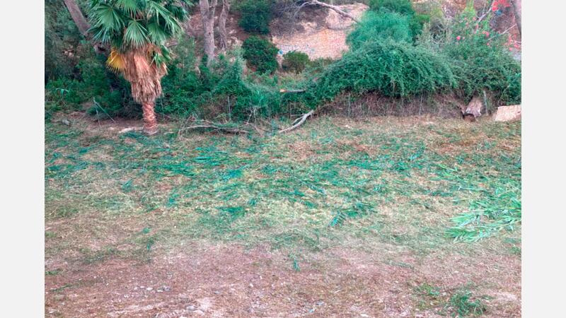 Benidorm once again cleans the urban sections of the ravines to minimize the effects of possible heavy rains