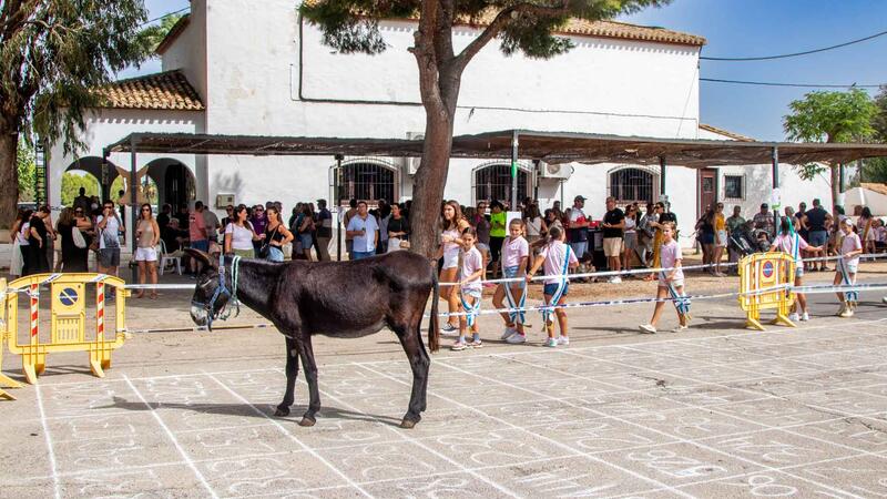La ‘Cagà de la Burra’ regresa a la Ermita de Sanz de la mano de la Comissió de Sant Antoni