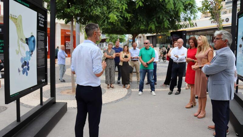 La plaza de la Hispanidad, escenario de la exposición ‘3.000 años de cultura del vino Alicante’