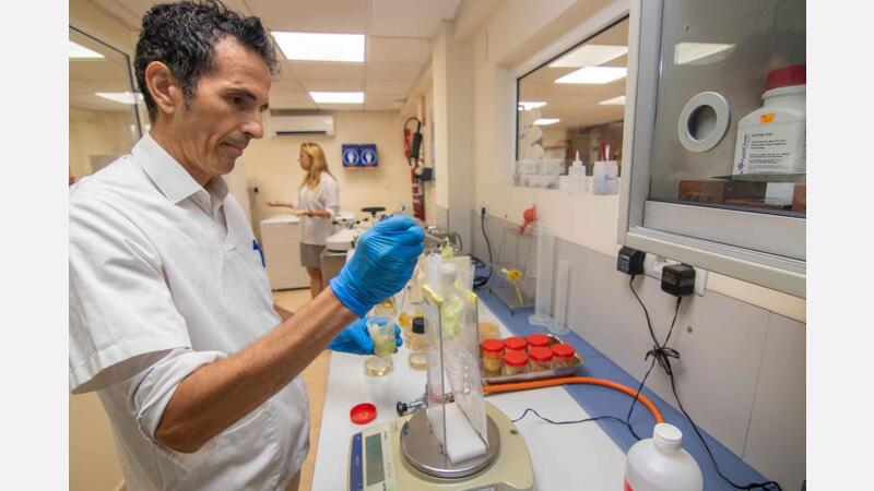 El Laboratori Municipal analitza els menús escolars i les cuines dels centres educatius de Benidorm