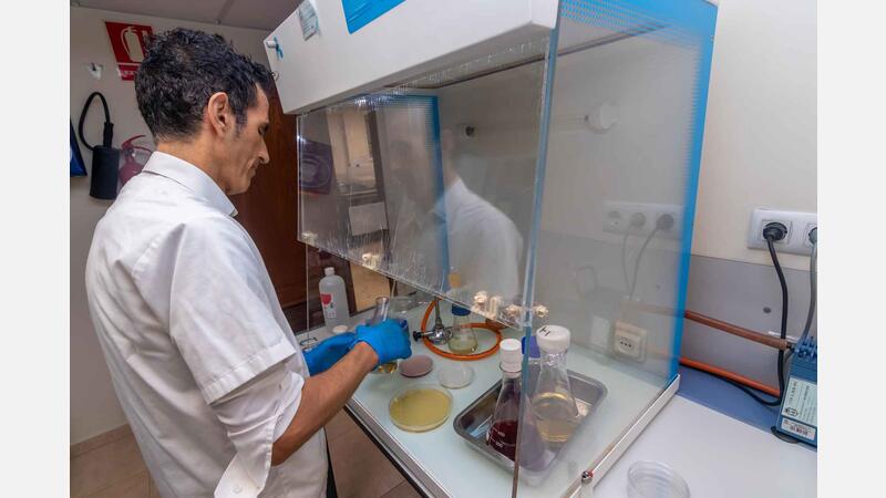 El Laboratori Municipal analitza els menús escolars i les cuines dels centres educatius de Benidorm