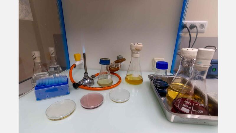 El Laboratori Municipal analitza els menús escolars i les cuines dels centres educatius de Benidorm