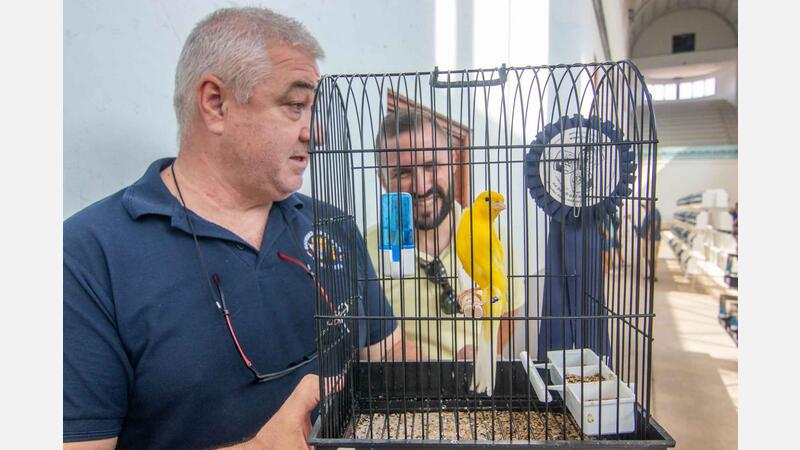 650 birds compete in the XXII